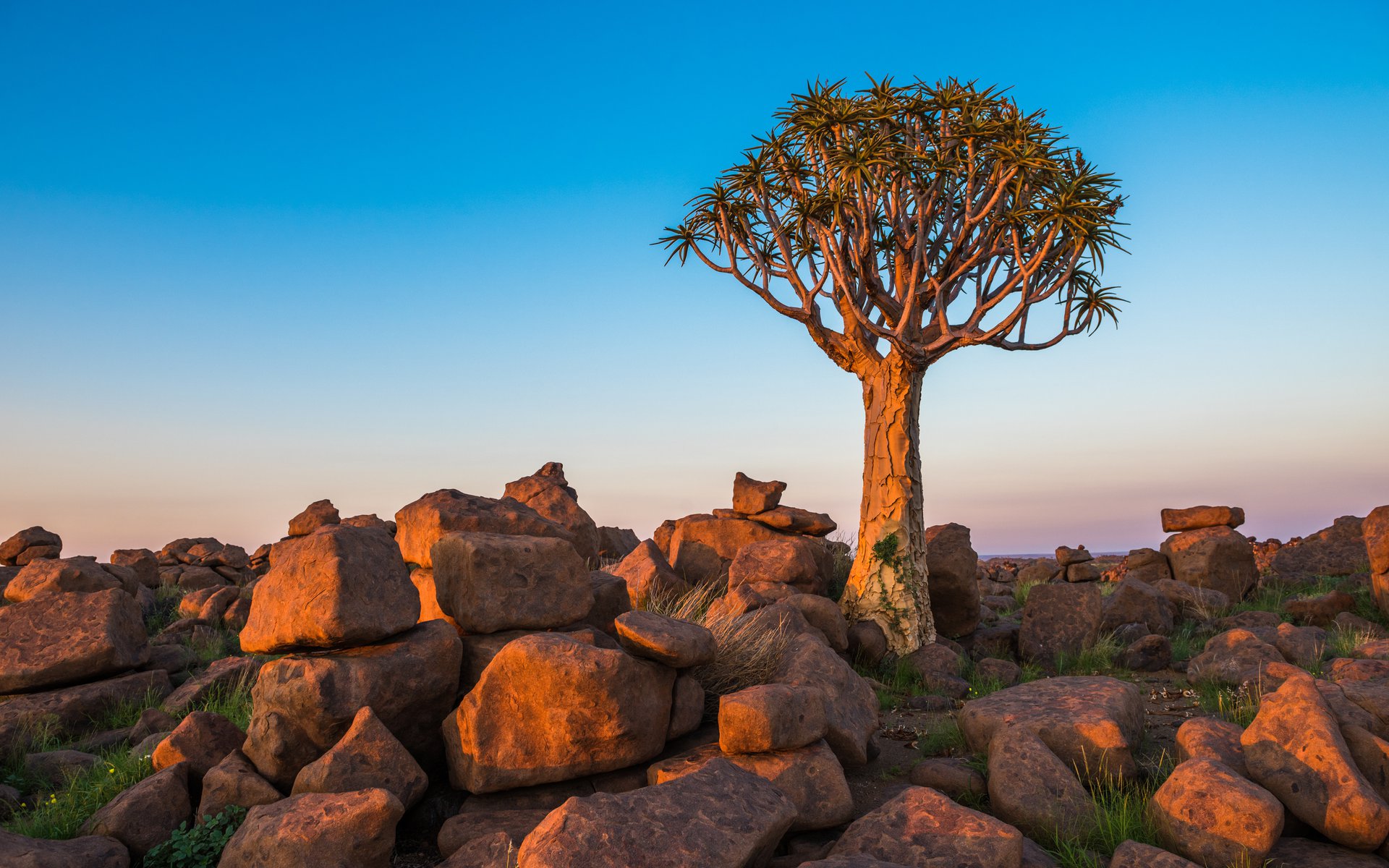 Keetmanshoop Highlights, Trip Builder & More Viatu Travel