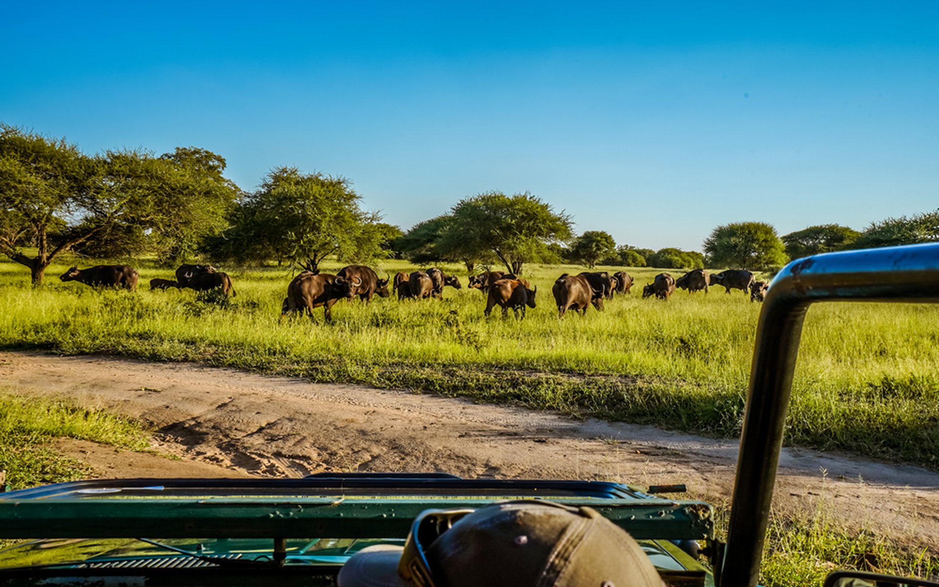 Hoedspruit Highlights, Trip Builder & More Viatu Travel